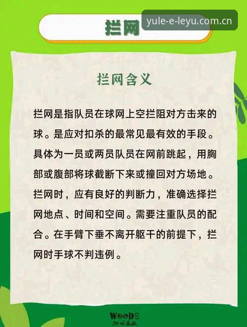 乐鱼体育平台安全使用实用技巧：从下载到观赛的全流程指南